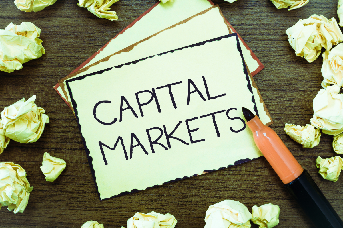 Rynek kapitałowy — jego rodzaje i uczestnicy